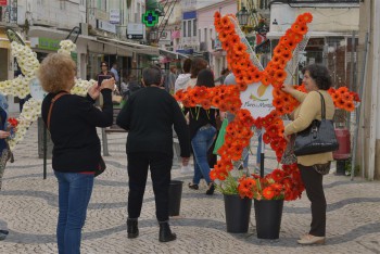 Mostrar os motivos que fazem do Montijo a Capital da Flor Festa da Flor na abertura é Lugar de Encontros