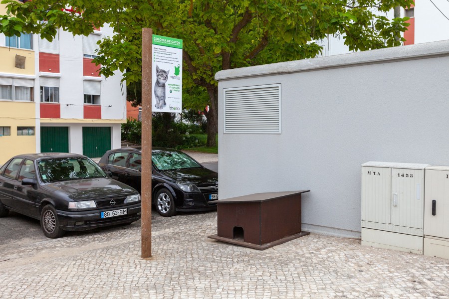 Na Moita e em Alhos Vedros Câmara instala mais dois abrigos para gatos