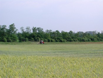 Concelho de Palmela institui Dia da Agricultura e do Mundo Rural Defesa e valorização da identidade do mundo rural