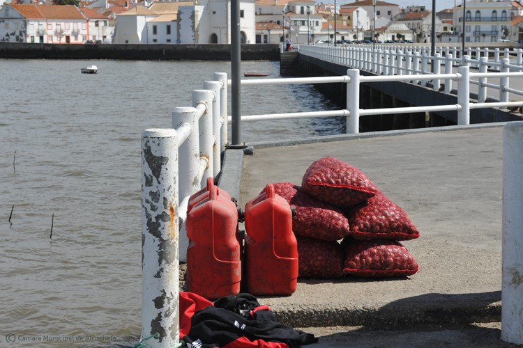 Alcochete - Solução urgente para a apanha ilegal de bivalves Câmara reuniu esta semana com a Administração do Porto de Lisboa