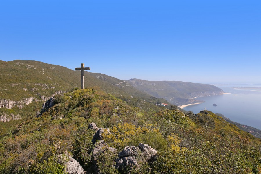 Setúbal, Palmela e Sesimbra Plano de Ação para candidatura da Arrábida a Reserva da Biosfera :Setúbal aprovou formalização da candidatura
