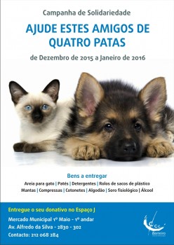 BARREIRO - CAMPANHA DE SOLIDARIEDADE «Ajude estes amigos de quatro patas»