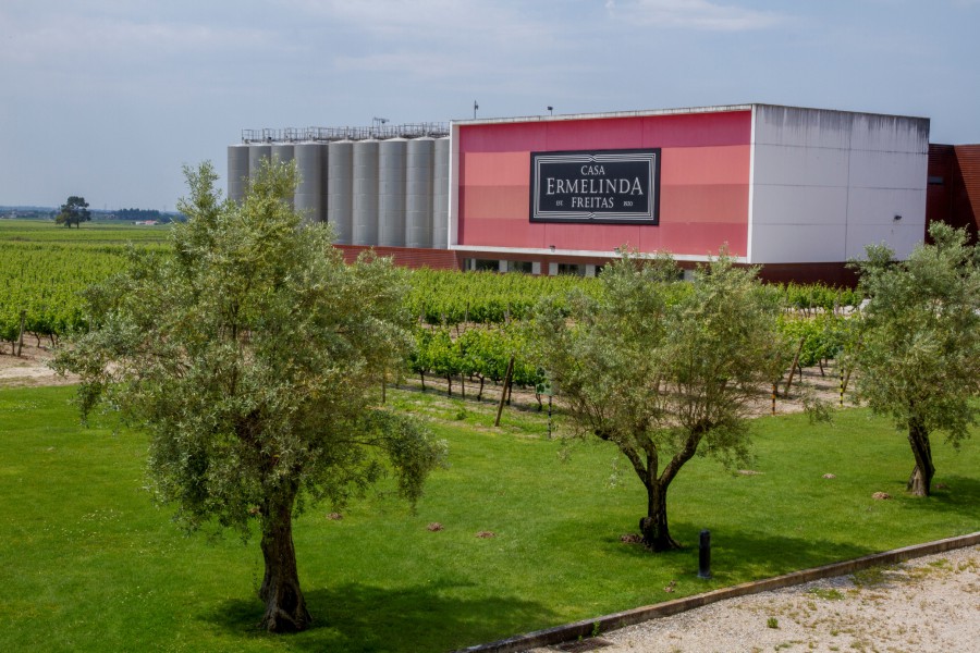 Palmela - Município saúda Casa Ermelinda Freitas Excelente prestação no Concurso «PRODEXPO 2020» na Rússia