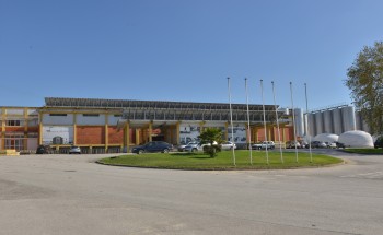 Montijo - Pegões tem o melhor moscatel do Mundo Um exemplo de confiança e que apela para que tenhamos consciência da necessidade do desenvolvimento agrícola