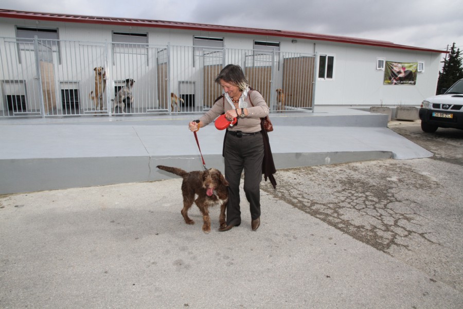 Centro de Recolha Oficial de Animais de Palmela Visitas ao CROA e Cãominhada Solidária assinalam Dia do Animal