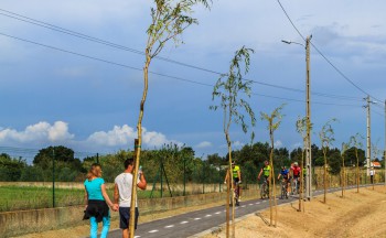 Palmela - Ecopista de Pinhal Novo desde limite da vila até ao concelho do Montijo Adjudicado por 12.300 euros com dois quilómetros de extensão