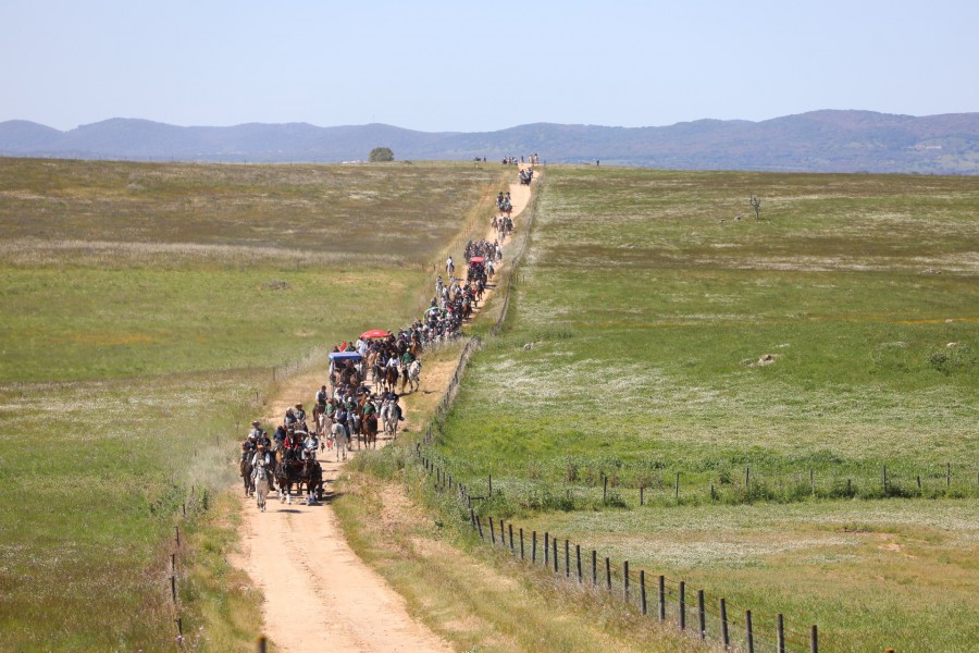 Romaria a Cavalo Moita – Viana do Alentejo Participaram mais de 500 animais e mais de 1000 romeiros