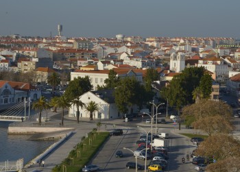 Montijo - Revisão do Plano Diretor Municipal (PDM) Inquérito à população
