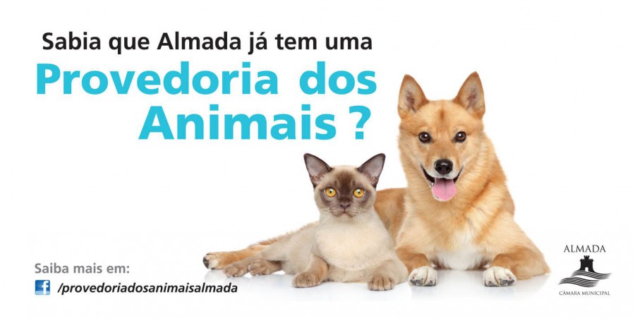 Defesa e proteção dos direitos e interesses legítimos dos animais Município de Almada já tem Provedoria dos Animais