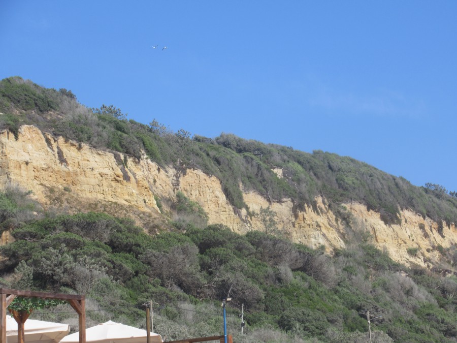Intervenção nos acessos e estacionamentos das praias do Rei à Bela Vista e Fonte da Telha Obra de emergência e transitória cumpre Regulamento de gestão das praias marítimas