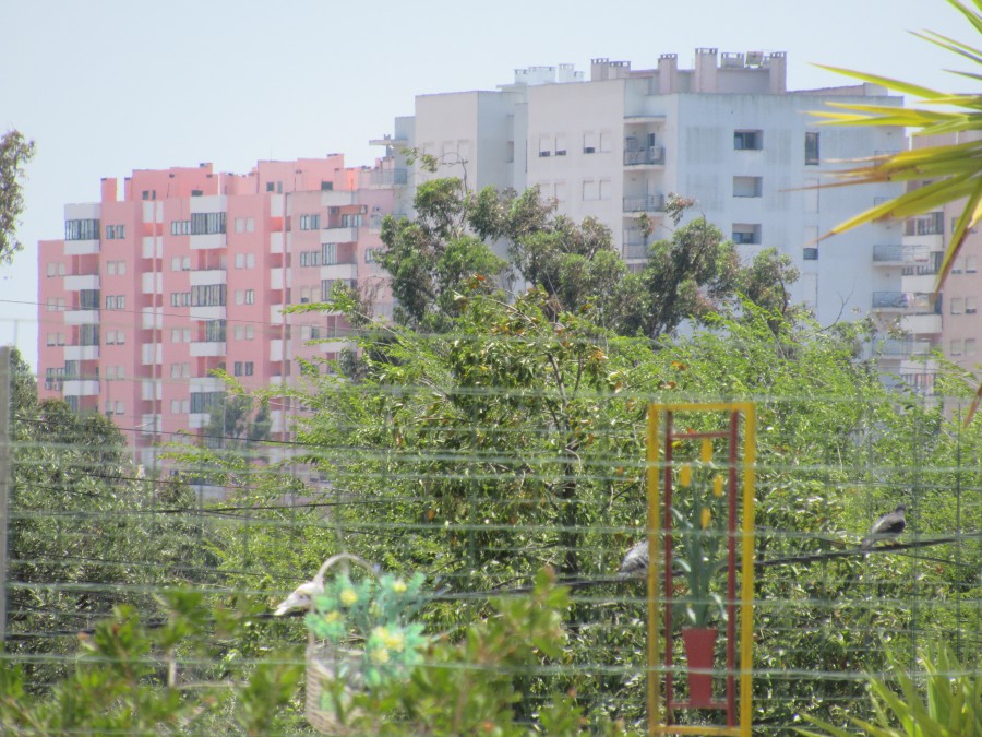 Na Urbanização dos Fidalguinhos - Barreiro No dia 11 de Julho perturbações no abastecimento de água