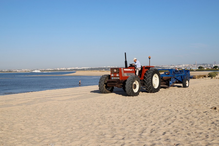 Barreiro - Praias de Alburrica e Mexilhoeiro Limpeza do areal insere-se na valorização da zona ribeirinha . Procedimento de candidatura à certificação Praia Fluvial,refere João Pintassilgo