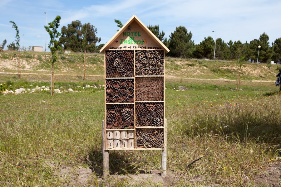 No âmbito do Dia Mundial do Ambiente Visita guiada à Zona de Proteção Ecológica do Parque Hortícola no Vale da Amoreira
