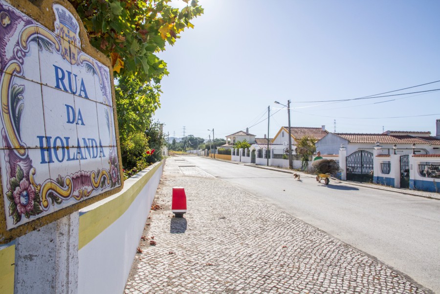 Palmela - Empreitada de infraestruturação da Rua da Holanda Tem o valor de cerca de 89 mil euros e um prazo de execução de 90 dias.