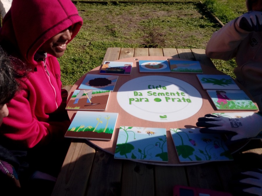 Seixal - Protocolos com entidades ligadas à área da saúde mental e deficiência Autarquia apoia saúde mental e deficiência através da horticultura terapêutica