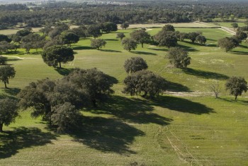 Sessão de Esclarecimento no Montijo dirigida a potenciais empreendedores locais Sobre o instrumento Desenvolvimento Local de Base Comunitária