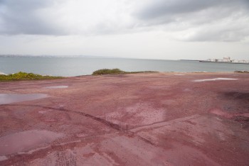 Plataforma Multimodal do Barreiro A Avenida da Praia não pode ser afetada nas suas vistas.