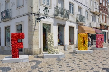Montijo Capital da Flor Comércio local desafiado para florir as montras e as lojas