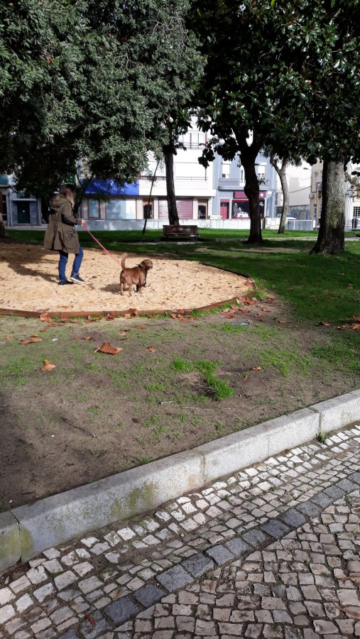 Barreiro - Parque Catarina Eufémia Requalificado Colocação de relva sintética veio preservar a imagem do Parque