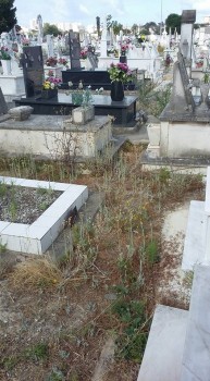 Barreiro - População indignada com situação no Cemitério do Lavradio Consideram lamentável estado de abandono