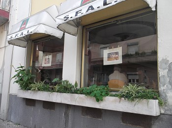 Barreiro - Exposição de Fotografia no Café Bar da SFAL «Os jovens e o Associativismo»