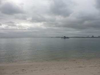 Setúbal - Hoje, a mais bela baía do mundo acordou assim.