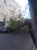 Postais do Barreiro Árvore caíu sobre uma viatura