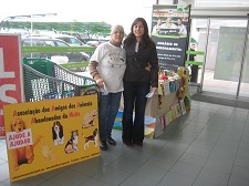 Associação dos Amigos dos Animais Abandonados da Moita Promove Recolha de donativos para animais abandonados