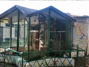 Barreiro – De novo a sinfonia no Jardim Estrela Solidariedade dá vida ao Passarinheiro no Lavradio