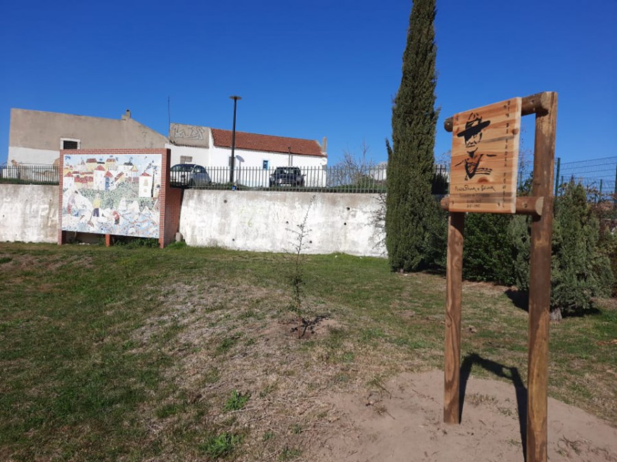 BARREIRO - Uma árvore plantada no Lavradio Em memória do fundador do escutismo Baden-Powell