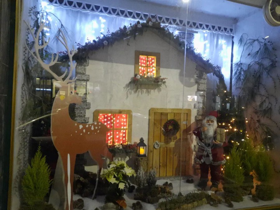 BARREIRO - XXI Concurso de Montras de Natal 1º Prémio Faty Lopes, Florista e Decoração