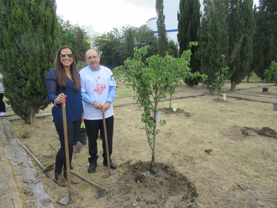 Barreiro - Pomar pedagógico no Parque da Cidade Projecto do Dia B com apoio do Forum Barreiro e Fuzileiros Navais