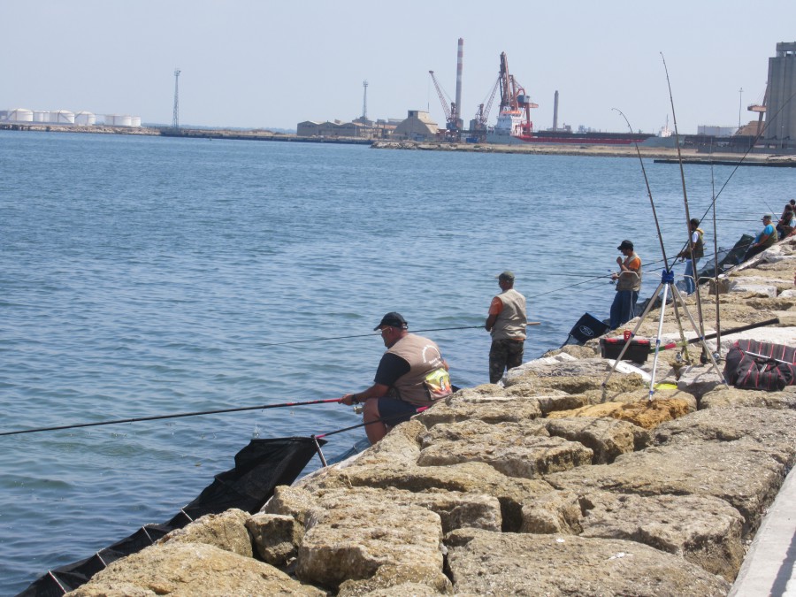 Federação Portuguesa de Pesca Desportiva promove no Barreiro Prova do Campeonato Regional de Pesca Desportiva