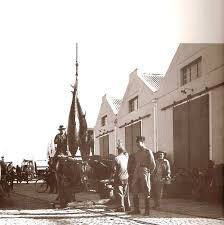 Crónicas do Algarve Acerca de um vento frio que sopra de norte, do Zé Aranha e do Zé Rita! Por Henrique Bonança