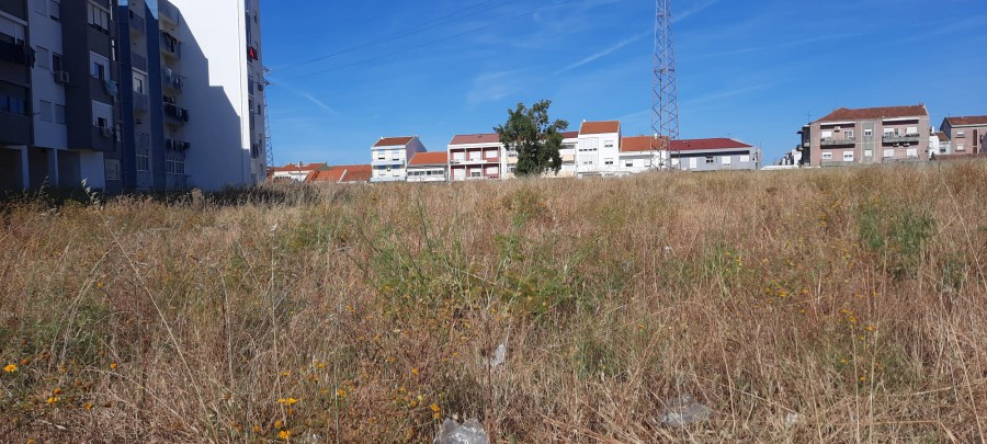 Quotidiano - Barreiro O meu Bairro também merece ter o «Bosquete dos Loios»