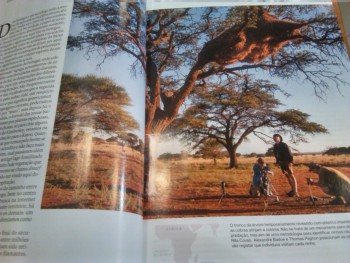 Rita Covas, bióloga, natural do Barreiro Investiga espécie emblemática da África Austral . É destaque National Geographic de Março