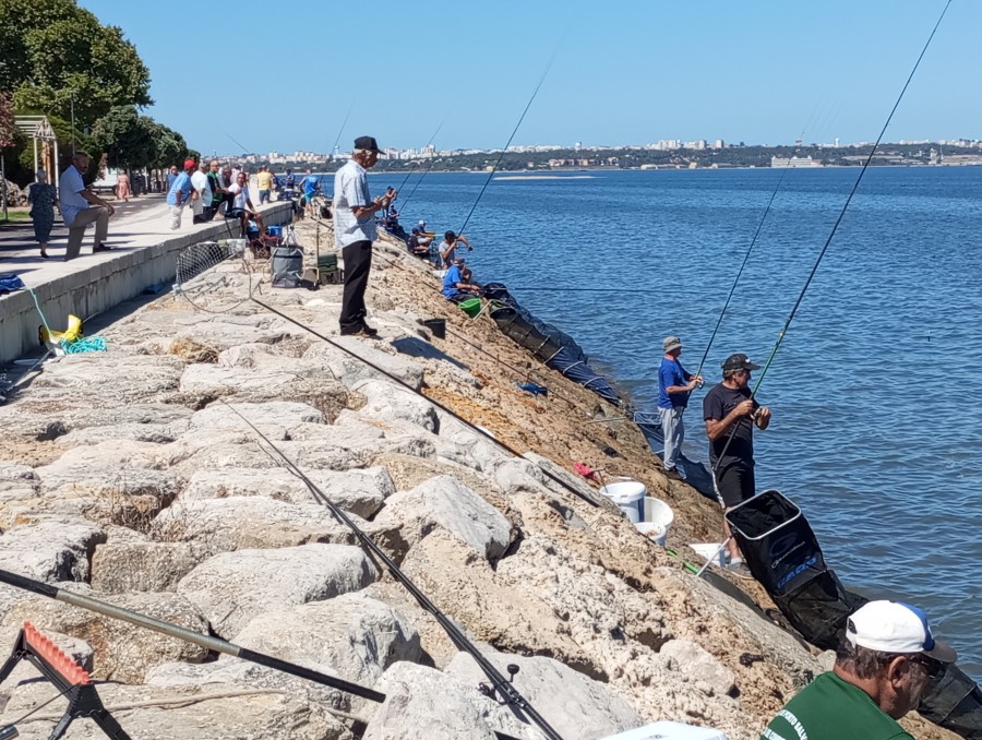 BARREIRO DIA DE PESCARIA Por António Neves