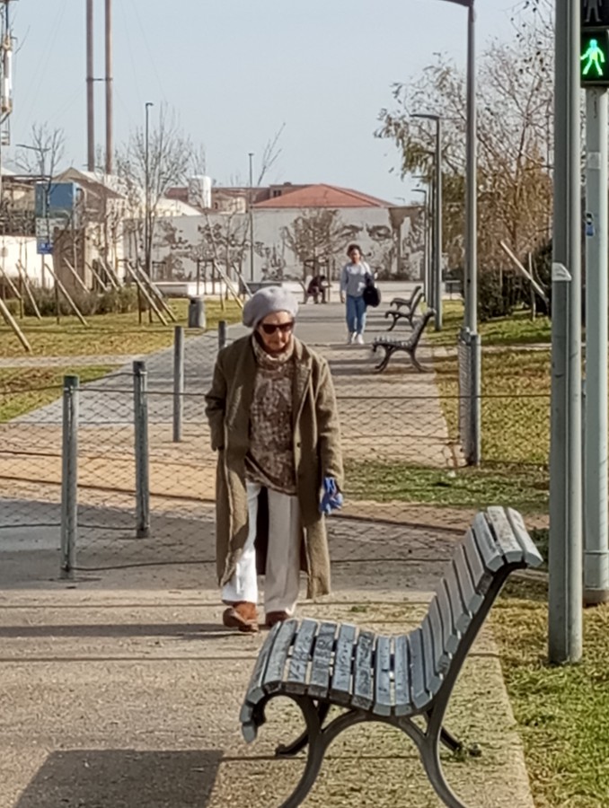 Luz verde para caminhar Por António Neves Barreiro