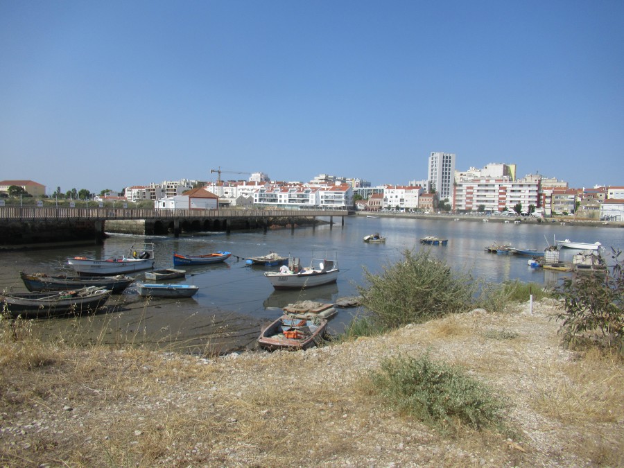 Nos Censos de 2021 Barreiro regista perda de 0,5% de população . Moita regista aumento de 0,4%