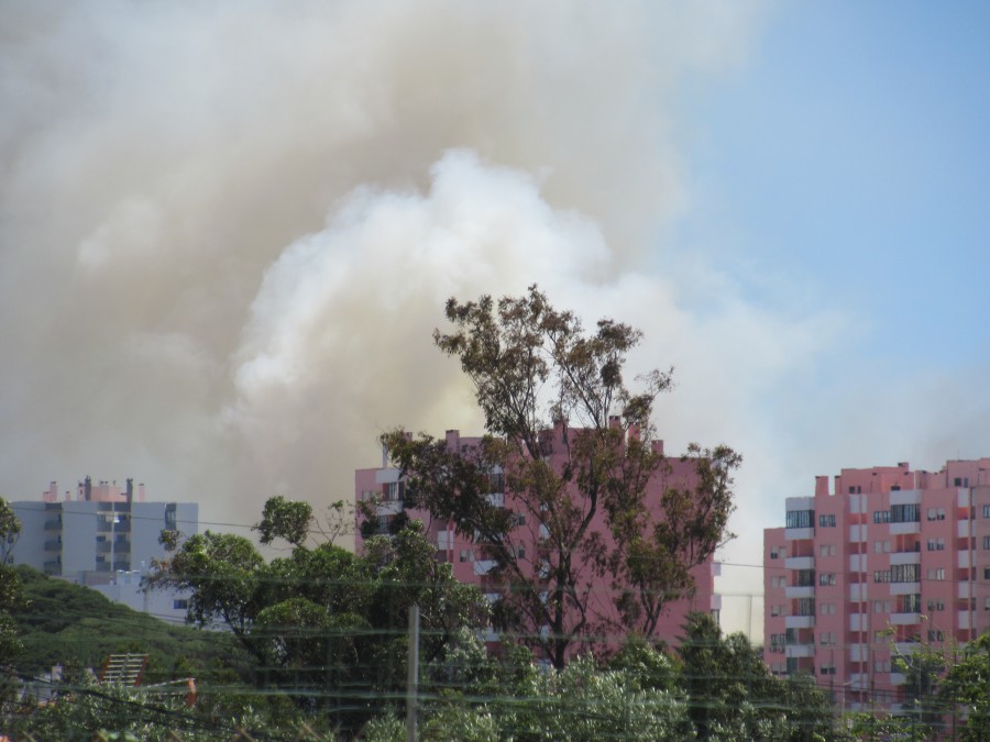 Barreiro - Incêndio em veículo na IC 21 Propaga-se à zona de mato envolvente junto à Urbanização dos Fidalguinhos