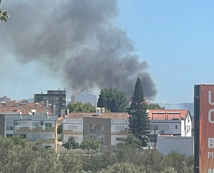 Barreiro Incêndio na Mata da Machada