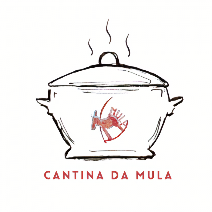 Não me levem a mal esta pontinha de vaidade... Por António Neves Barreiro