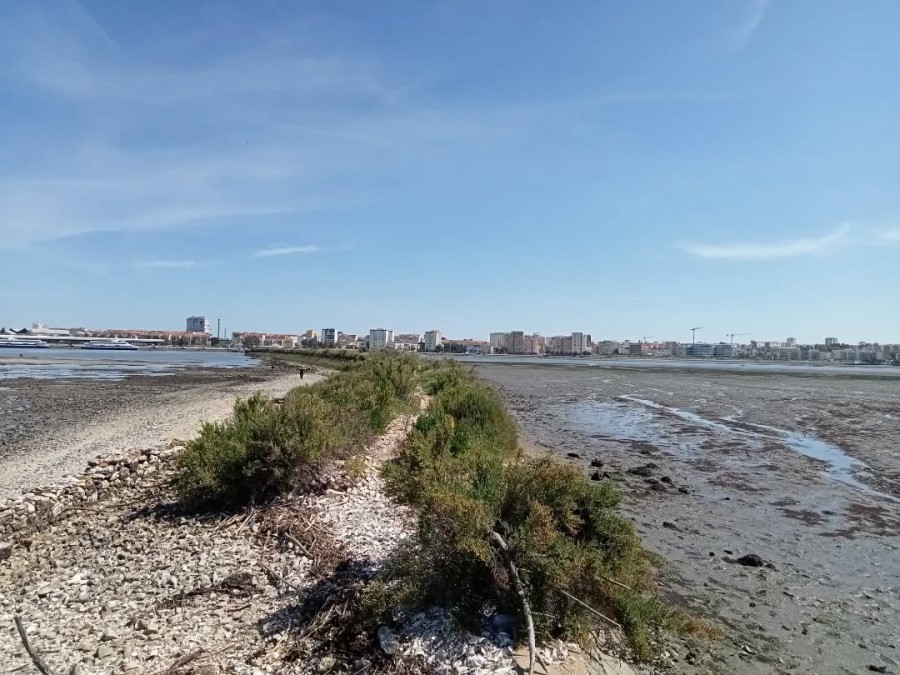 Ter um «barco-tax»" entre Barreiro e Seixal... Por Ana Lourenço Monteiro