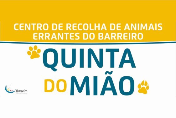 Promover colaboração com entidades de proteção animal no Distrito de Setúbal Câmara do Barreiro aprova patronagem de animais por adotar