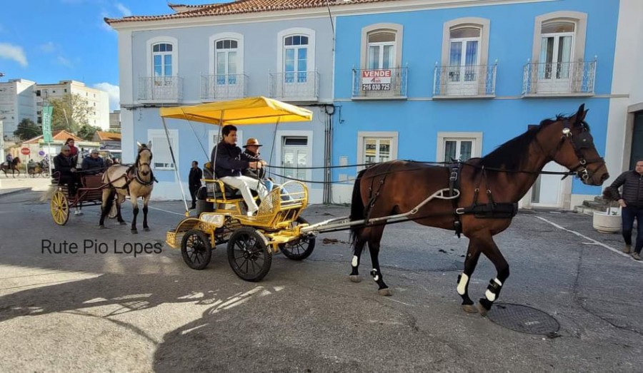 Romaria a Cavalo Moita – Viana do Alentejo Um dos maiores eventos equestres nacionais . Convívio unindo várias gerações