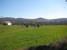 Primavera Por Maria Clarinda