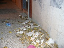 Carta ao Director Folhas e Lixo acumulado na rua na Freguesia Santo André - Barreiro