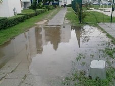 Carta ao Director Cada vez que chove um pouco mais...