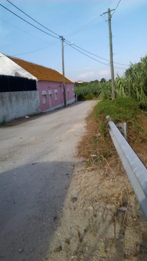 Carta ao Director Para quando a Câmara Municipal da Moita resolve está situação?