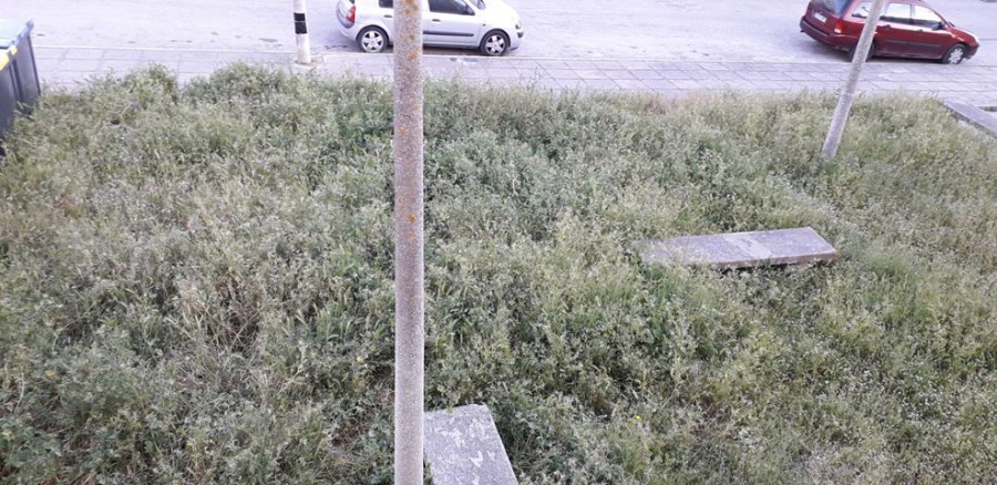Carta ao Director - Barreiro O jardim da minha janela na Rua Bento da Silva Fernandes